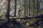cq-917204.webp