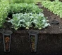 Combiosoil_IKUGL_aranz_01.png.webp