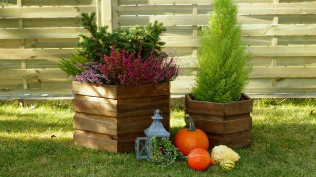 1530099400_lb.jpg