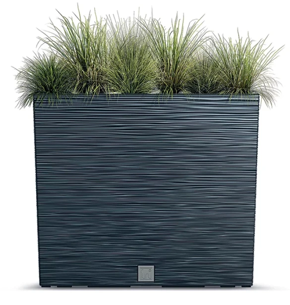 Furu_Case_T_DFCT_S433_roslina.png.webp