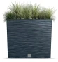 Furu_Case_T_DFCT_S433_roslina.png.webp