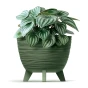 Furu_DFUR300_5615C_roslina.png.webp