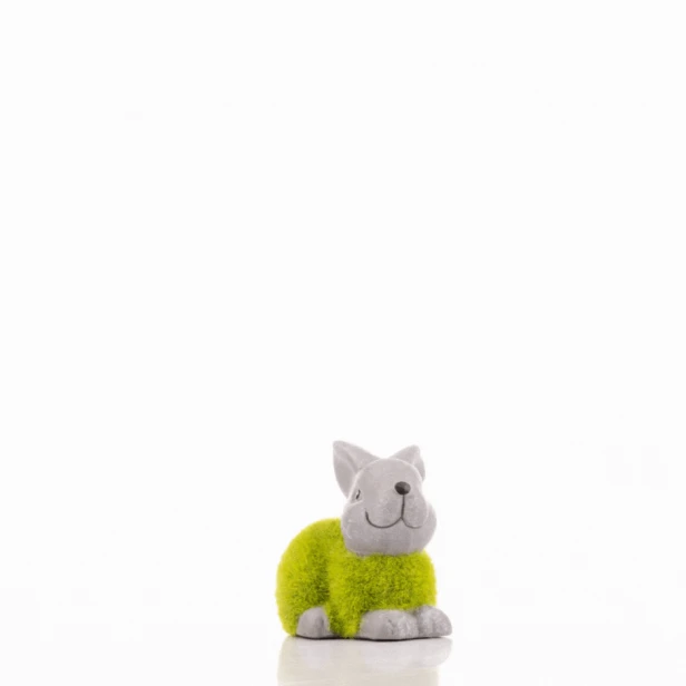 rozmiary zająców.gif