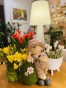 IMG_6411.jpeg