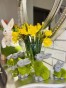 IMG_6336.jpeg
