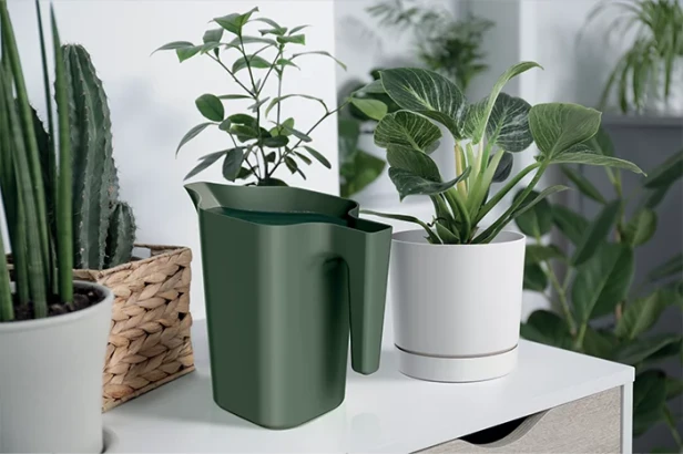 Konewka Jug