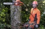 HUSQVARNA 545 Mark II