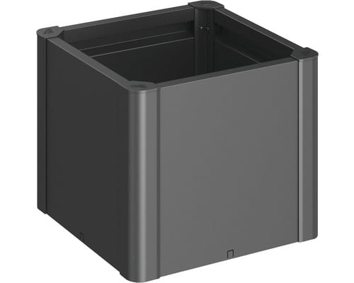 mini-50-c.jpg