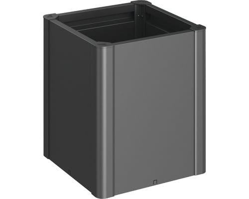 midi-50-c.jpg