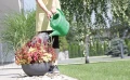 Konewka SPRING - zielony 2 l