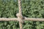Plac zabaw ZYGZAK (komplet)