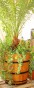 219dce4fdf59bcb6ad4862962ac3e4e0