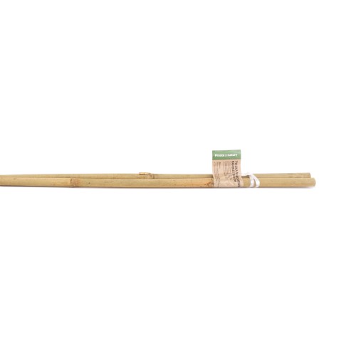 Tyczka podpórka bambusowa Plantris 14-16mm 150cm 2 szt.