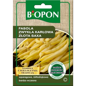 Fasola zwykła karłowa Złota saxa 22g