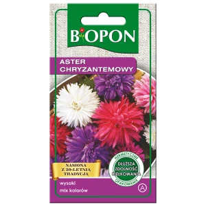 Aster chryzantemowy 1g wysoki mieszanka