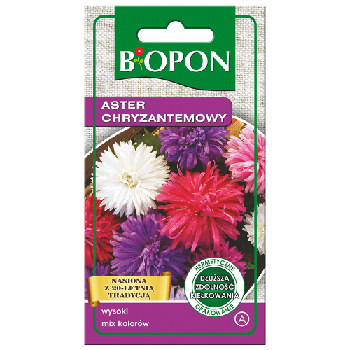 Aster-chryzantemowy-5904517166790-06.07.png
