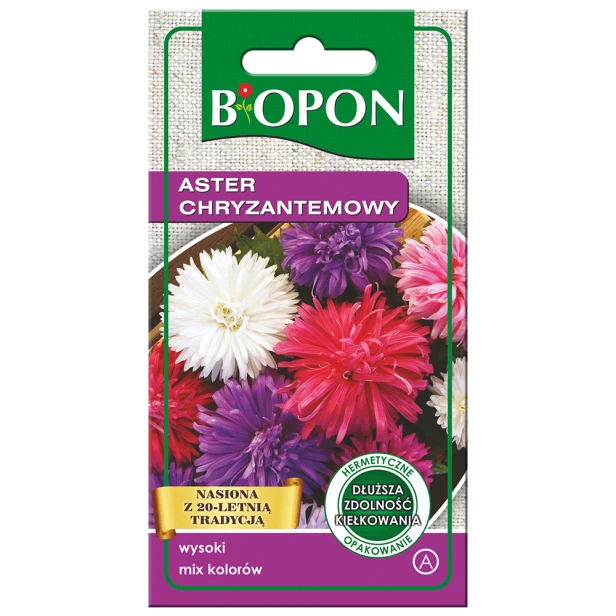 Aster-chryzantemowy-5904517166790-06.07.png