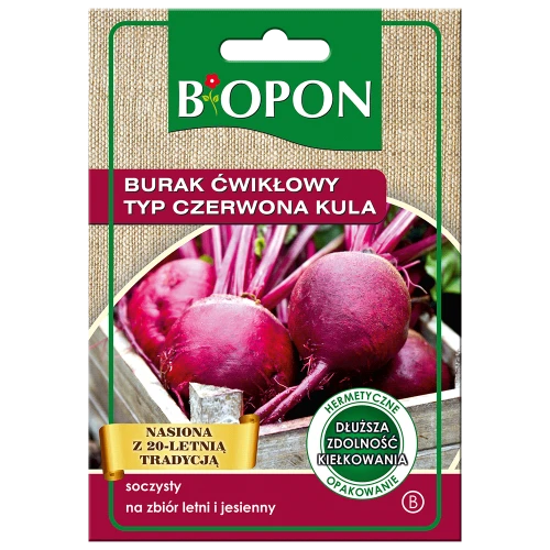 Burak ćwikłowy Czerwona Kula 15g