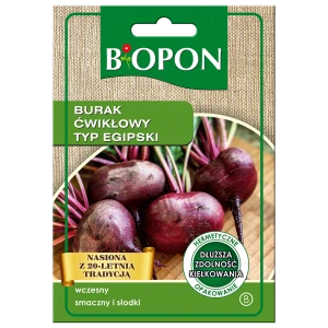 Burak ćwikłowy egipski 15g