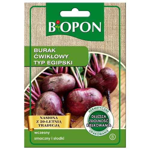 Burak ćwikłowy egipski 15