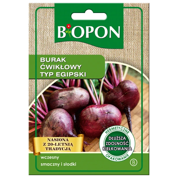 Burak ćwikłowy egipski 15