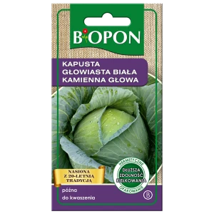Kapusta biała Kamienna Głowa 2g
