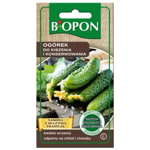 Ogórek do kiszenia i konserwowania 4g