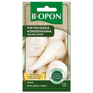 Pietruszka korzeń Halblange Berlińska 3g