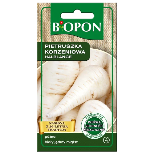 Pietruszka korzeń Halblange Berlińska