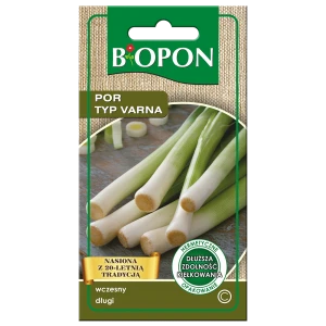 Por bulgaarse reuzen Varna 1g