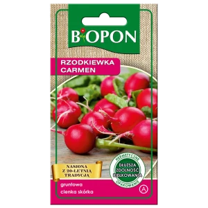 Rzodkiewka Carmen 5g