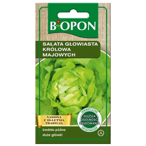 Sałata głowiasta Królowa Majowych 1g