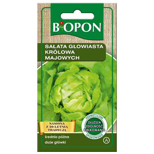 Sałata głowiasta Królowa Majowych 1g