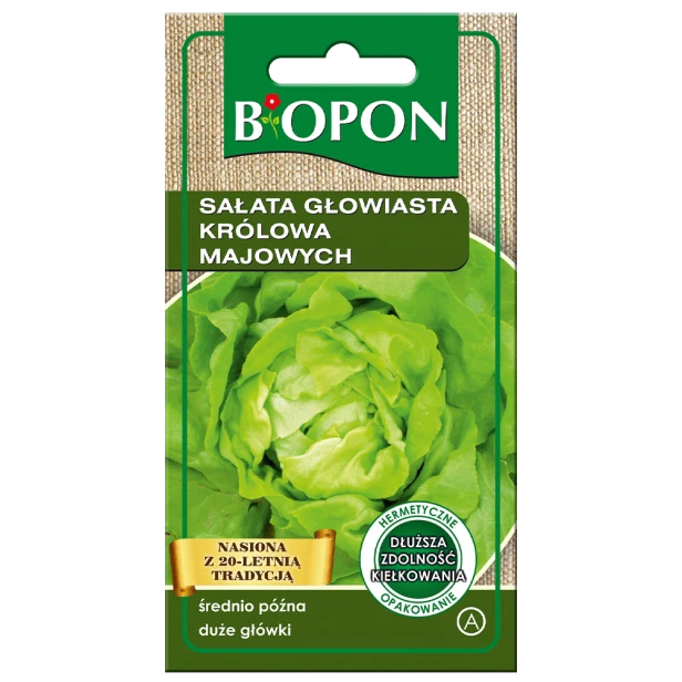 Sałata głowiasta Królowa Majowych 1g