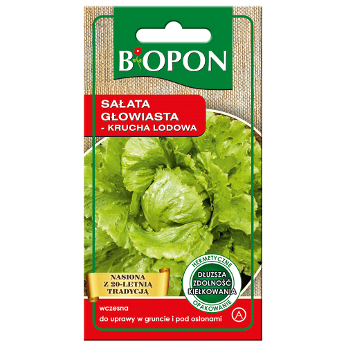 Sałata głow krucha lodowa Kumak 0,5g