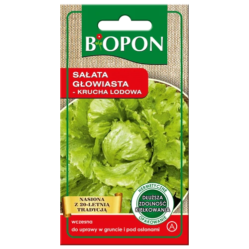 Sałata głow krucha lodowa Kumak 0,5g