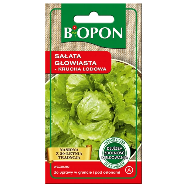 Sałata głow krucha lodowa Kumak 0,5g