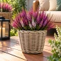 Donica-ratanowa-Ubud-Szary-fi-27-cm-8714763200905-2.webp