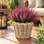 Donica-ratanowa-Aruna-Szary-fi-20-cm-8714763341073-2.webp