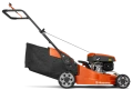 NO-016284.png